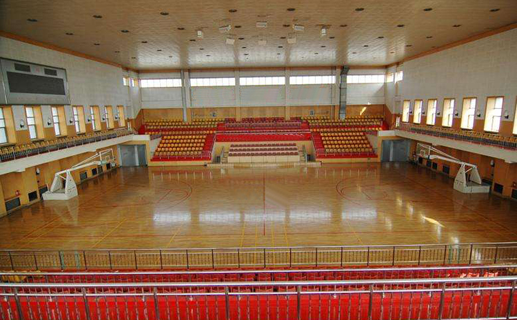 東莞某中學(xué)體育館吸音板工程 東莞某中學(xué)體育館吸音板工程